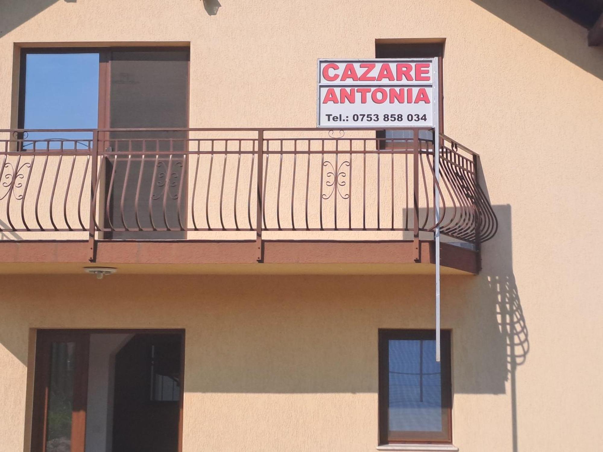 קורטאה דה ארגס Cazare Antonia מראה חיצוני תמונה
